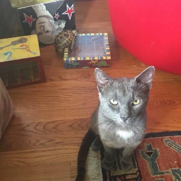 Meet your Posher, Tamara - Picture 1 of 1